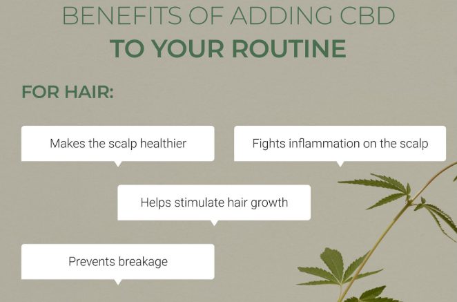 benefits of cbd for hair loss